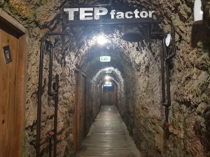 Things to do at Tepfactor Adventure Park in Dubai